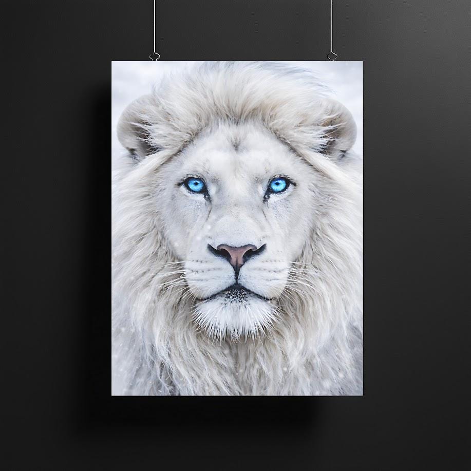 White Lion Wall Art | Majestic Wildlife Canvas Print, Big Cat Decor (Poster) — Canvas wall art